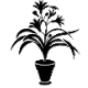 Décoration